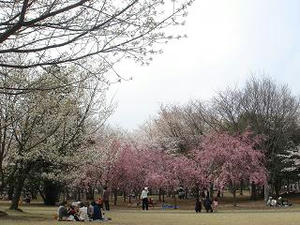2008.4.3-10.JPG