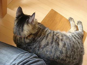 2008.4.16-6.JPG
