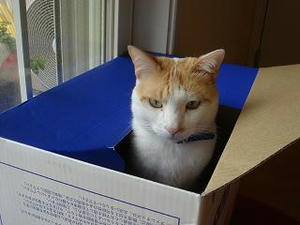 2008.4.27-2.JPG