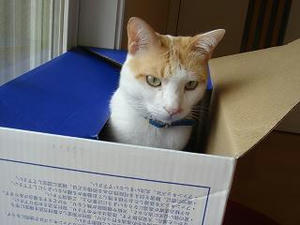 2008.4.27-3.JPG