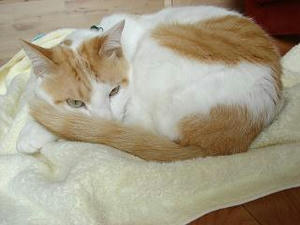 2008.5.14-2.JPG