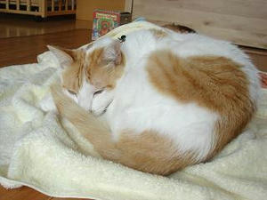 2008.5.14-4.JPG