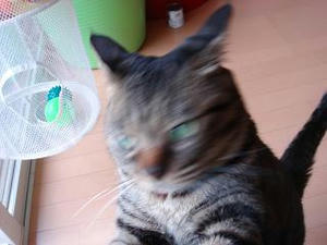 2008.5.26-3.JPG