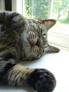 2008.6.14-3.JPG
