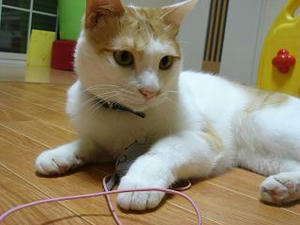 2008.7.2-3.JPG