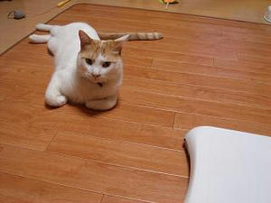 2008.7.2-9.JPG