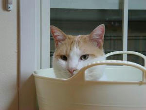 2008.8.1-4.JPG
