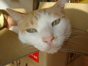 2008.11.14-2.JPG
