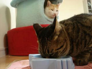 2008.11.25-1.JPG