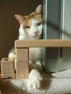 2008.11.25-3.JPG