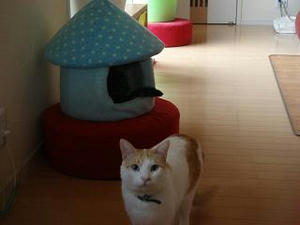 2008.11.25-6.JPG