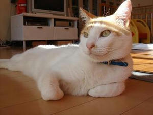 2008.12.31-1.JPG