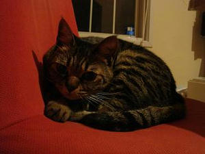 2008.12.31-3.JPG