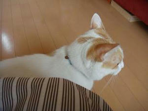 2009.8.6-2.JPG