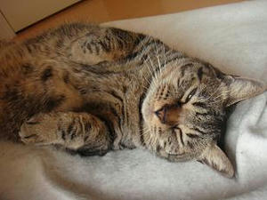 2009.10.27-6.JPG