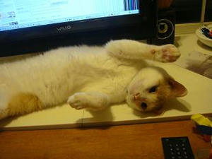 2010.10.13-4.JPG