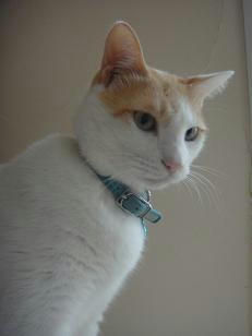 2010.10.24-1.JPG