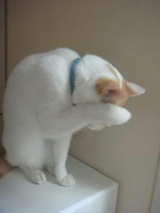 2010.10.24-3.JPG
