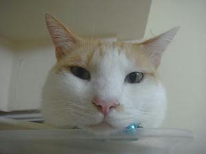 2010.10.24-4.JPG