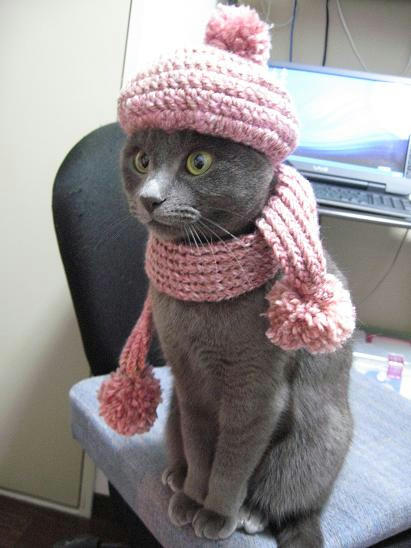 こまふらー