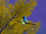 0f62f0b6.jpg