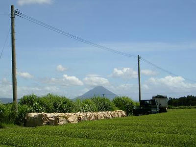 762628f2.jpg