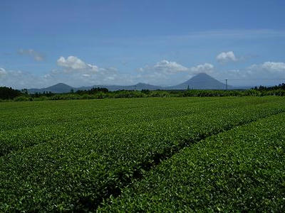 f3ca2d57.jpg
