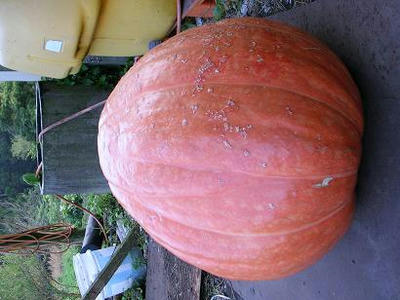 dbe45f49.jpg