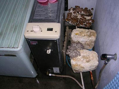 63cb2f22.jpg