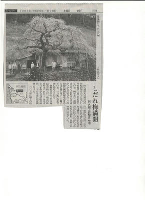 d3562b60.jpg