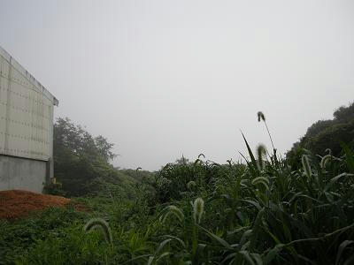 f2c06d63.jpg
