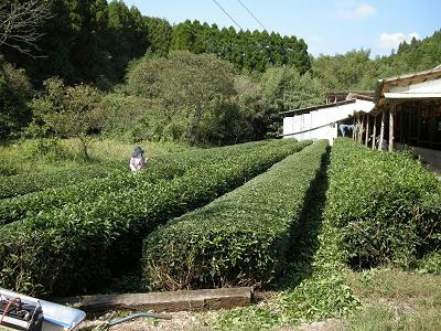 178a3f92.jpg