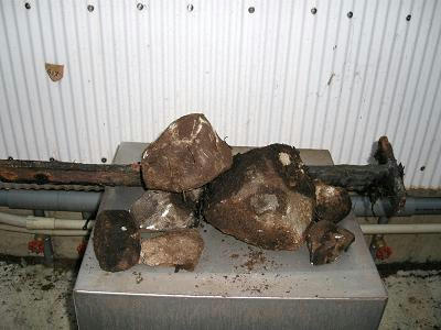 4b0233f4.jpg