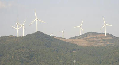 27759982.jpg