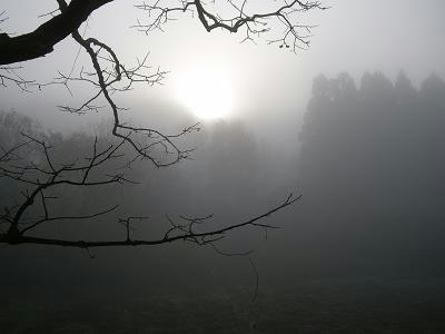 a8ed76e7.jpg
