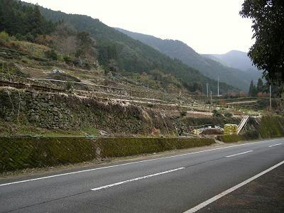 453548ac.jpg