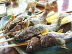 DSCF1021.JPG