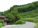 DSCF1011.jpg