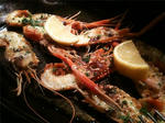 20100119a.jpg