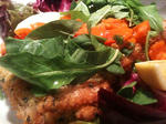 20100119b.jpg
