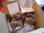 20100917.jpg