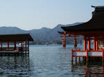20101129b.JPG