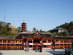 20101129c.JPG
