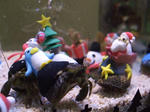 20101224a.jpg