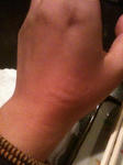 20110530.JPG