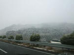 20120117a.jpg