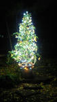 200911281712000.jpg