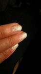 2010122023310000.jpg