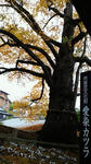 20121027125101.jpg