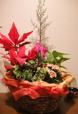 DSC00035.JPG